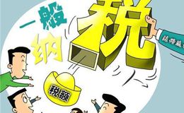 一般纳税人公司转让