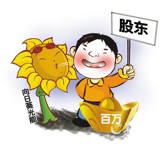 公司的股东