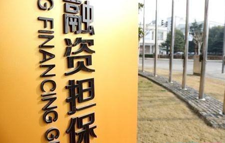 融资担保公司转让