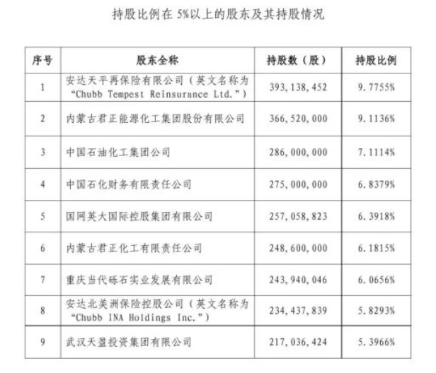 持股比例在5%以上的股东及其持股情况